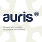 logo Auris